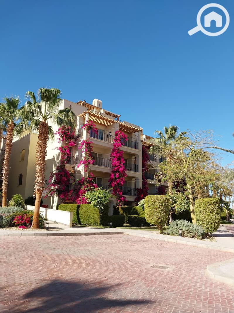 7 20240130_143541. jpg