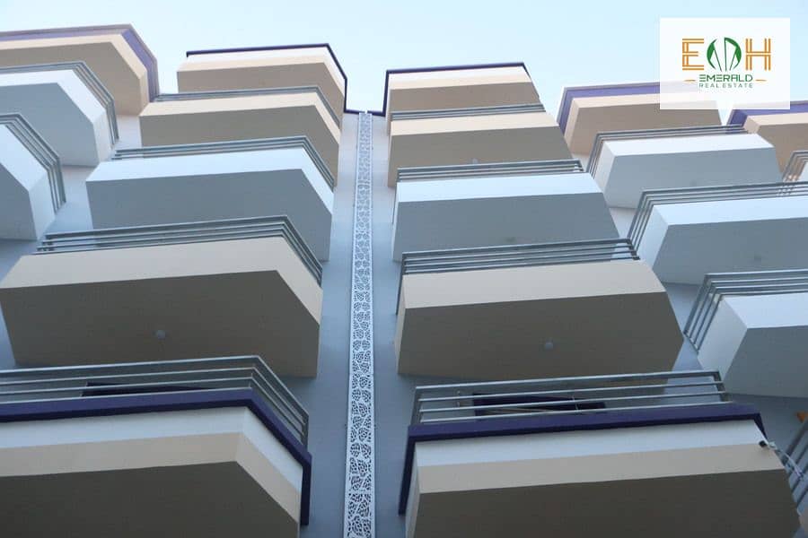 3 IMG_1565 - Copy (2) - Copy. jpg