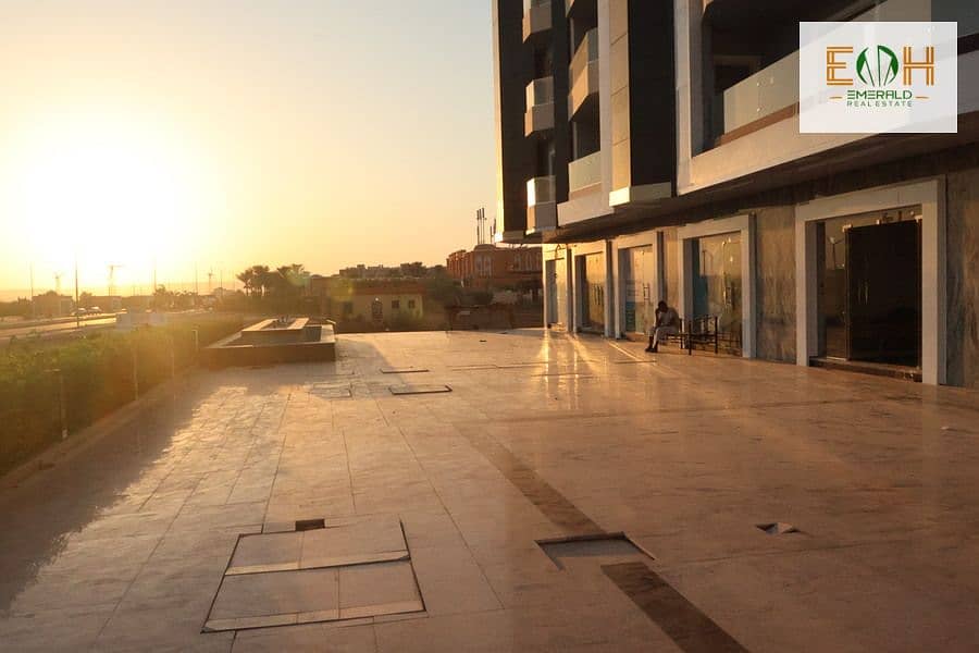 4 IMG_1553 - Copy (2) - Copy - Copy - Copy - Copy - Copy. jpg