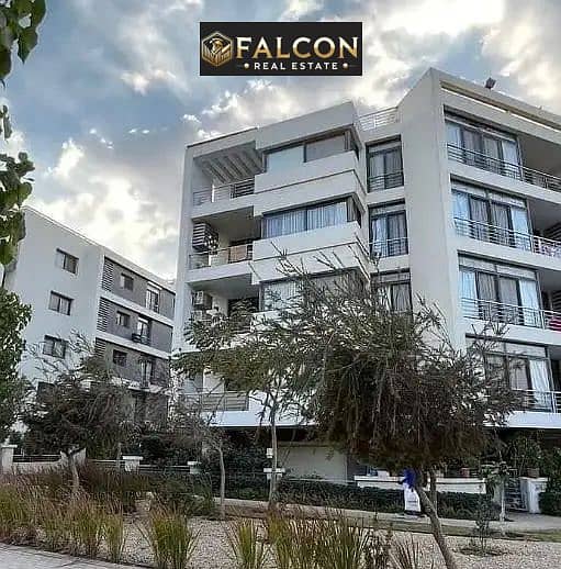 9 46525bef-3c30-4165-9e1b-e7303b34c947. jpg