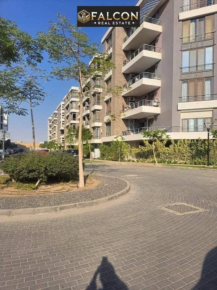 10 5960645554755191242. jpg