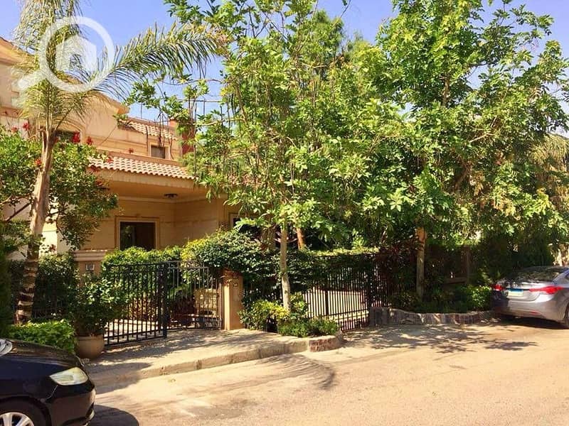 10 WhatsApp Image 2024-07-30 at 21.09. 22_d2fa998a. jpg