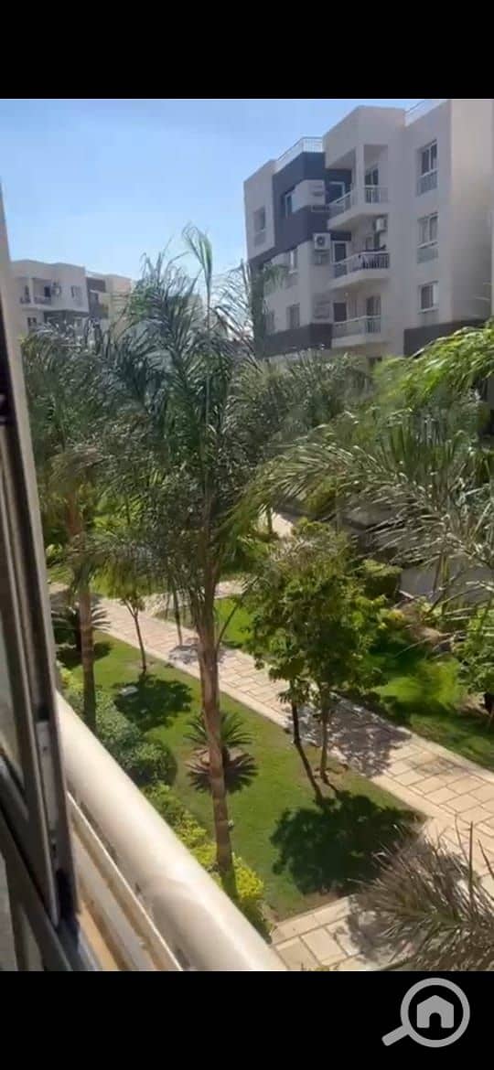 04382809-0c94-46a2-bf5c-7bfe5d2851d7. jpg