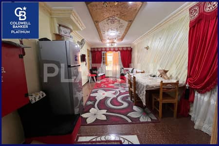 3 Bedroom Apartment for Rent in Miami, Alexandria - 1. JPG 3 Bedroom Apartment for Rent in Miami, Alexandria - 1. JPG