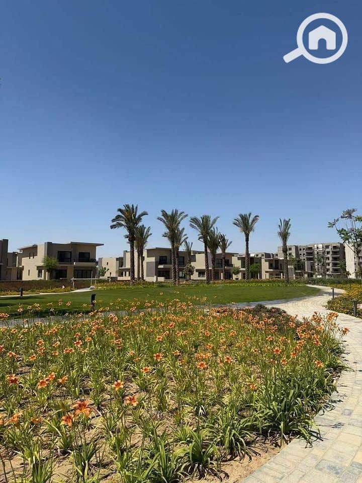 12 565834034_1357881622586478_16032879274816233_n. jpg