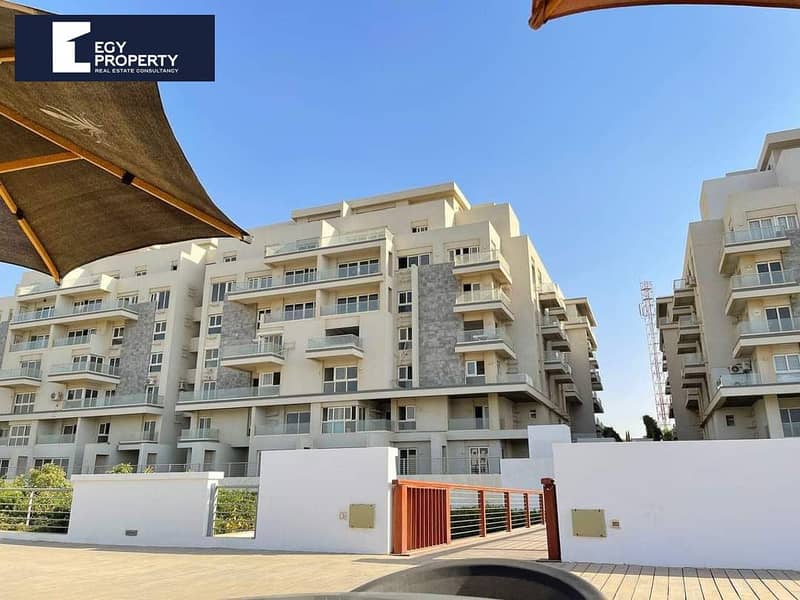 3 WhatsApp Image 2024-10-30 at 1.31. 34 PM (1). jpeg