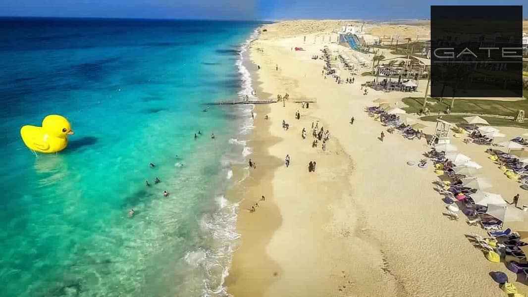 5 DJI_0002. MOV_snapshot_02.11_[2017.08. 07_14.10. 21]-Edit-Edit - Copy. jpg