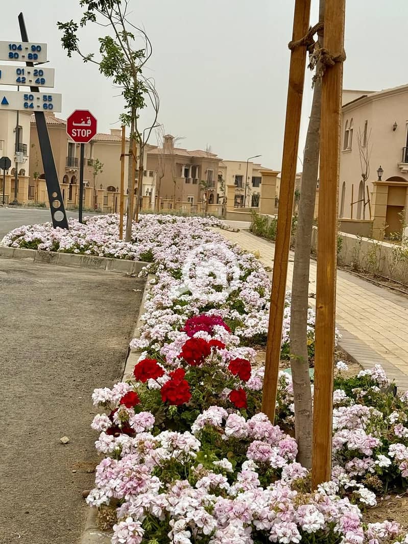 11 WhatsApp Image 2025-08-24 at 13.24. 38_32e8bc35. jpg