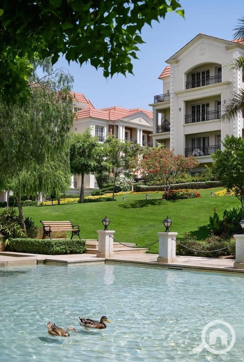 6 WhatsApp Image 2025-11-19 at 3.15. 01 AM. jpeg