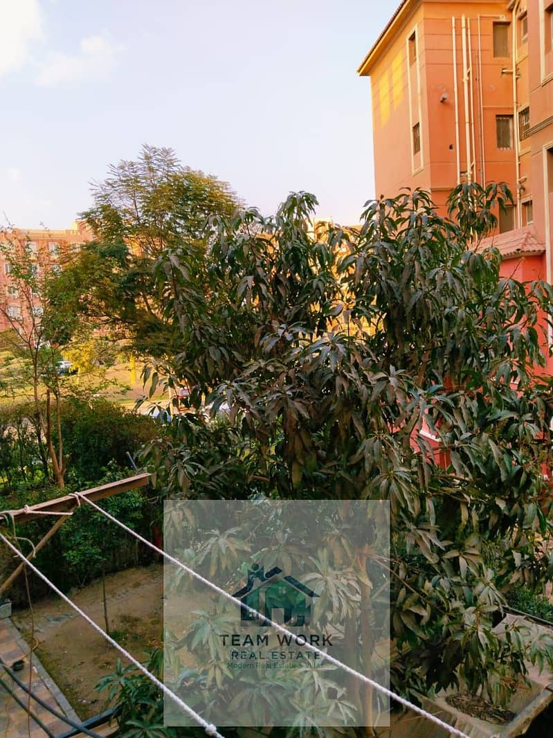 9 WhatsApp Image 2025-11-20 at 4.05. 11 PM (2). jpeg