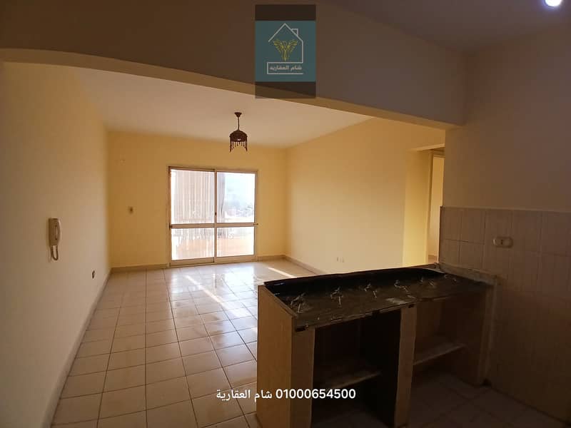 5 ٢٠٢٥١١٢٠_١٥٥١٥١. jpg