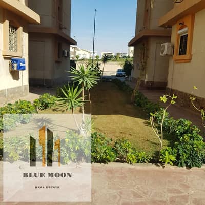 3 Bedroom Apartment for Rent in Nasr City, Cairo - WhatsApp Image 2024-09-04 at 3.01. 59 PM (1). jpeg