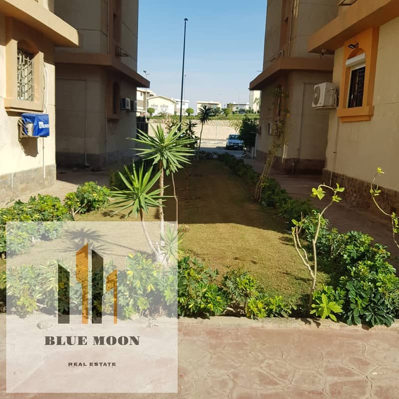 WhatsApp Image 2024-09-04 at 3.01. 59 PM (1). jpeg WhatsApp Image 2024-09-04 at 3.01. 59 PM (1). jpeg