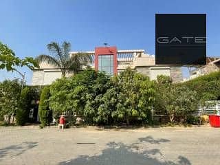 5 35306-9-01022024013540. jpg