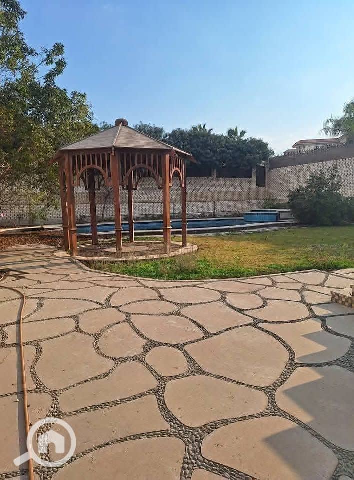 6 585105767_874324722055112_5455600121669707037_n. jpg