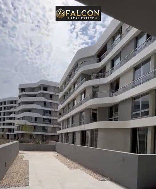 4 399223099_257499620636275_310785806986316897_n. jpg