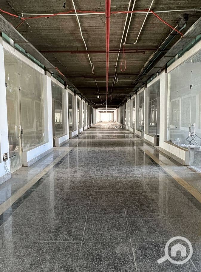 7 Generated Image September 15, 2025 - 2_26PM. png