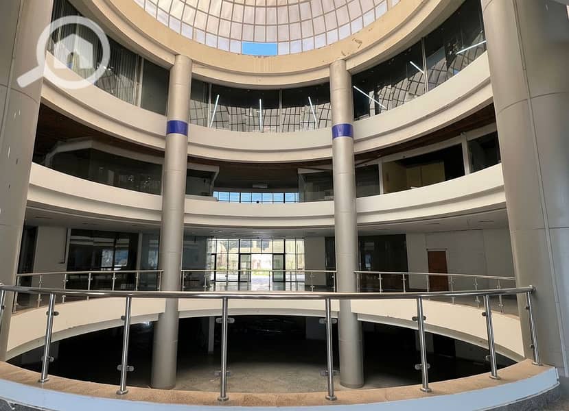 8 Generated Image September 23, 2025 - 2_06PM. png