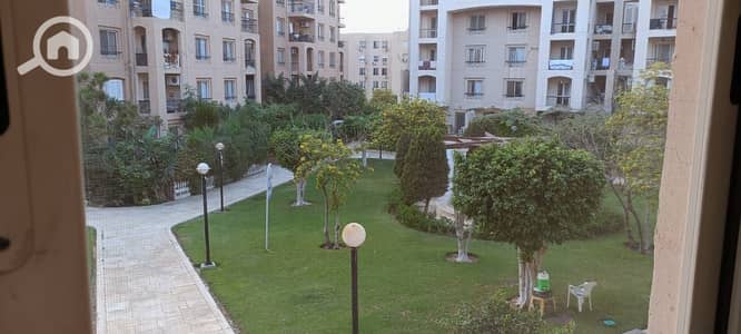 فلیٹ 2 غرفة نوم للايجار في القاهرة الجديدة، القاهرة - IMG-20251119-WA0235. jpg