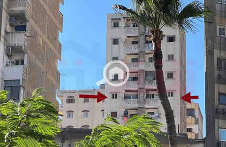 فلیٹ 3 غرف نوم للبيع في السيوف، الإسكندرية - WhatsApp Image 2025-11-09 at 3.50. 35 PM (1). jpg