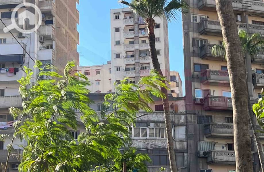 3 WhatsApp Image 2025-11-09 at 3.50. 36 PM. jpg