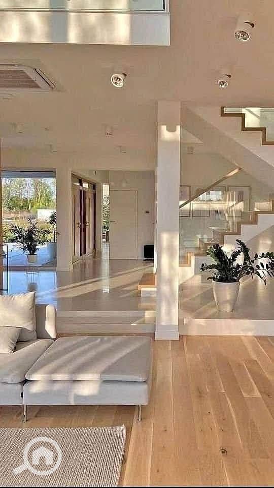 558937589_2387750708289874_6574907235819212619_n. jpg 558937589_2387750708289874_6574907235819212619_n. jpg