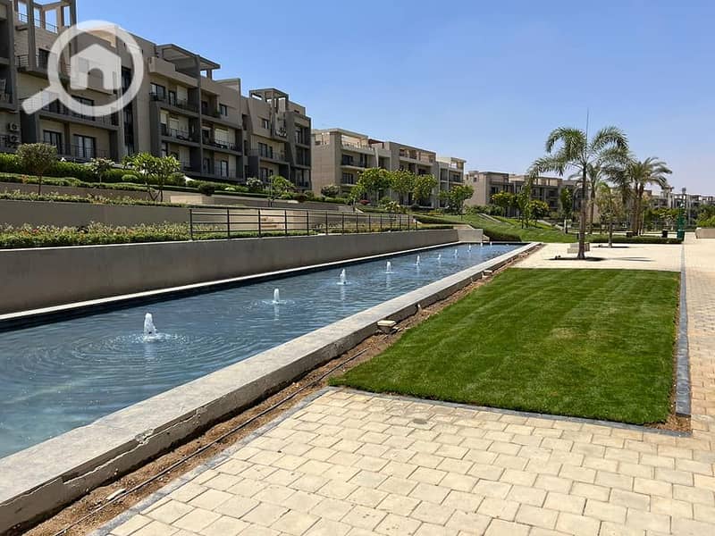 10 434431514_371046662596378_8428018516143130542_n. jpg