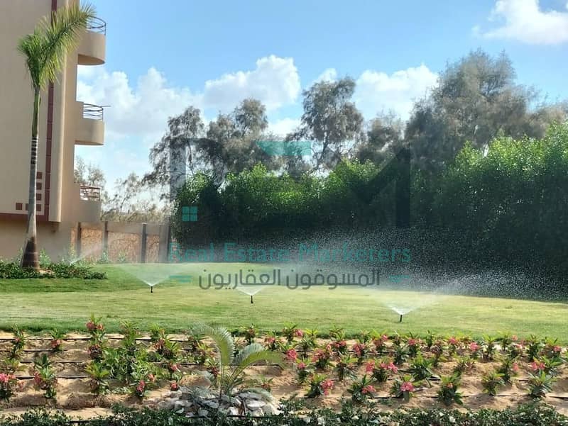 3 WhatsApp Image 2025-02-23 at 04.17. 37_64e92fd2. jpg