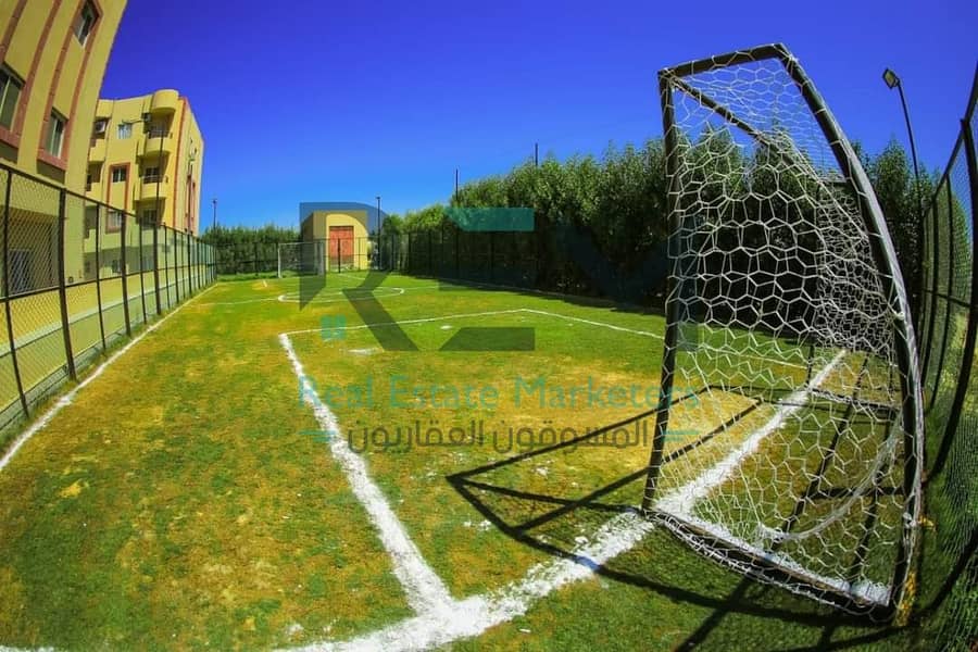 5 WhatsApp Image 2025-02-23 at 04.17. 38_94d46296. jpg