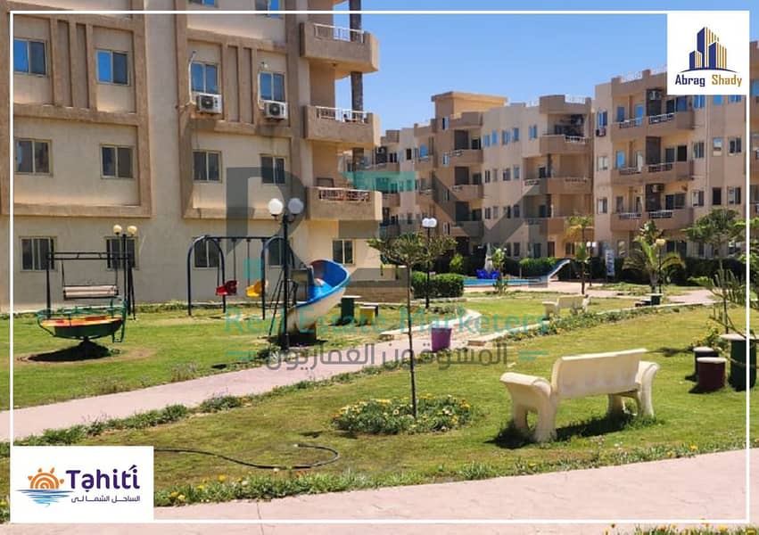 6 WhatsApp Image 2025-04-17 at 05.48. 27_eedc1d31. jpg