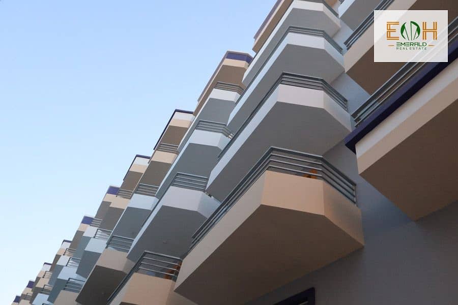 12 IMG_1580 - Copy. jpg