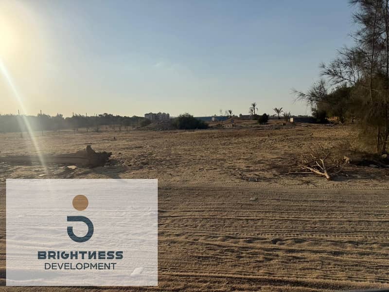 9 Untitled. jpg2. jpg