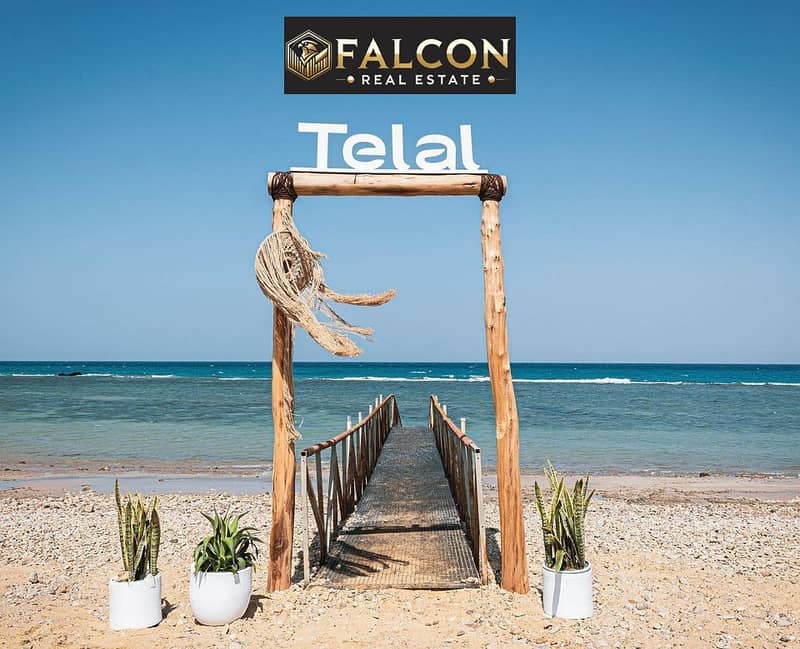 5 425132949_25552348514363991_8842541940631184212_n. jpg