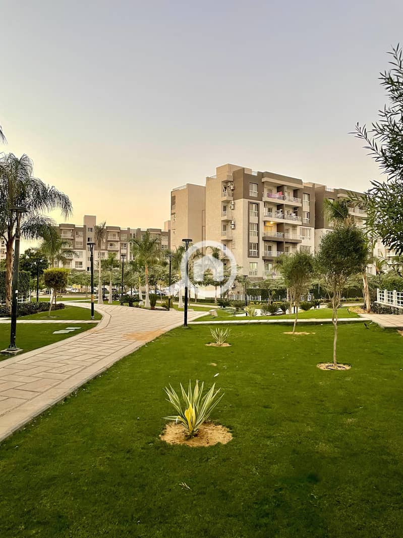 3 tempImagekQi2ct. jpg