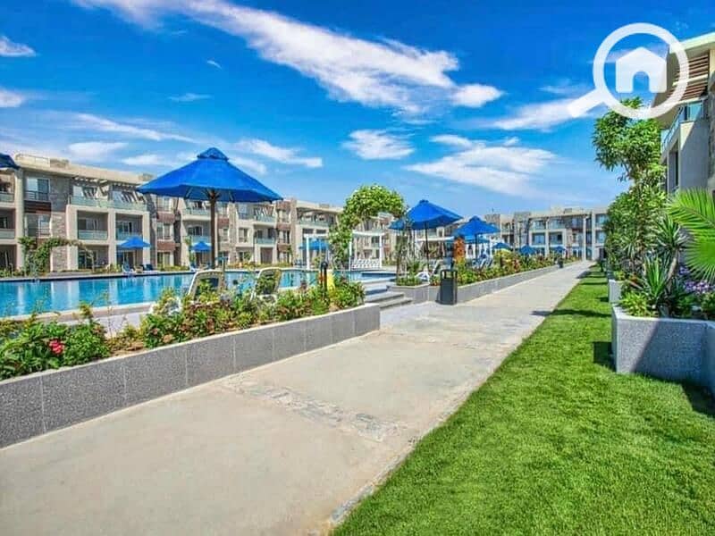 5 0df1d345-1136-4eae-8b7d-c95d1161ffc6. jpg