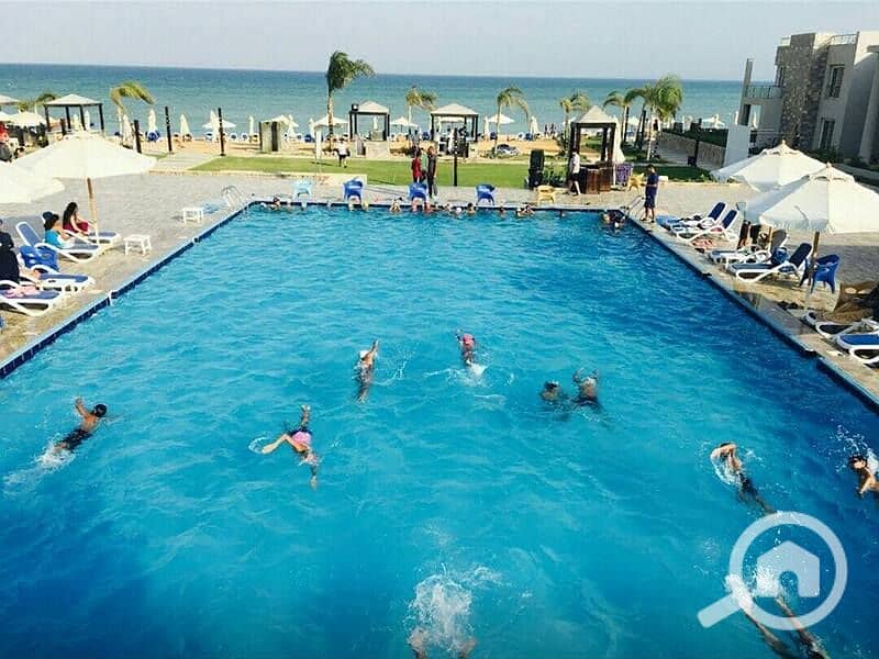 8 17884543_622676594595924_6938932512163245260_n. jpg