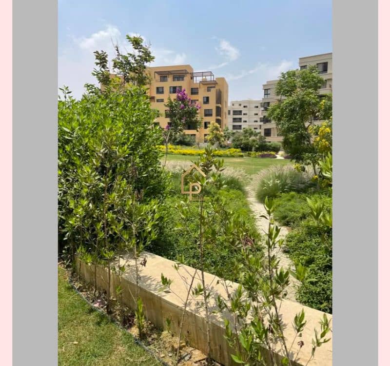 2 545514280_2948386255357054_8505435242105336272_n. jpg