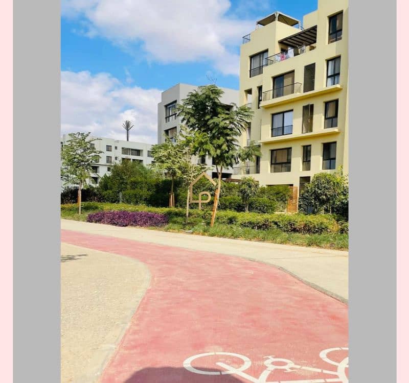 14 566201697_1309718641165977_484962729529980290_n. jpg