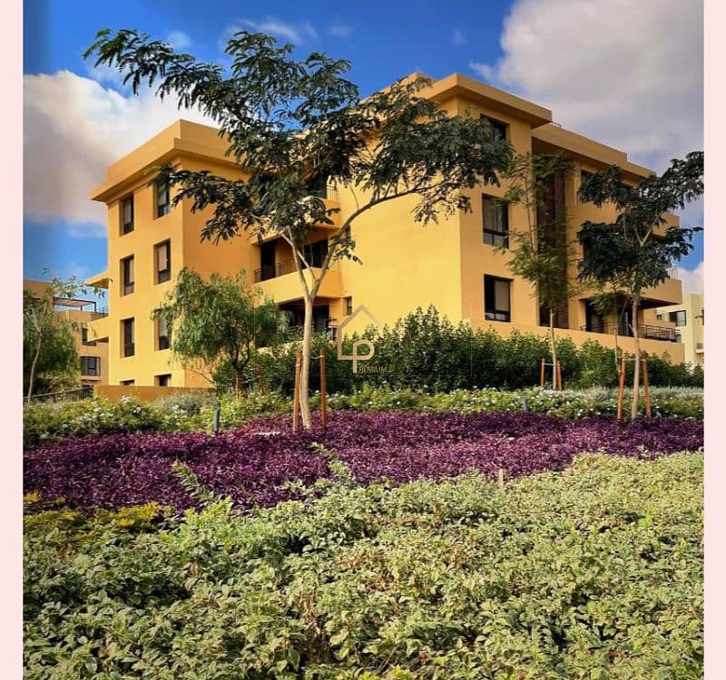 15 568438767_1309718654499309_8351604852214873787_n. jpg