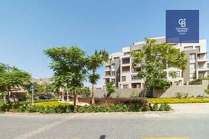 10 559482776_10240080515417556_1011868689736267015_n. jpg