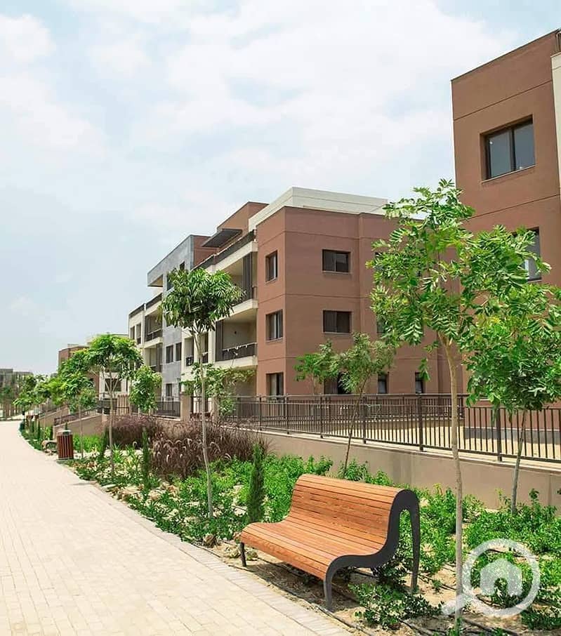 7 557814224_122179824530432089_4762243966909926448_n (1). jpg