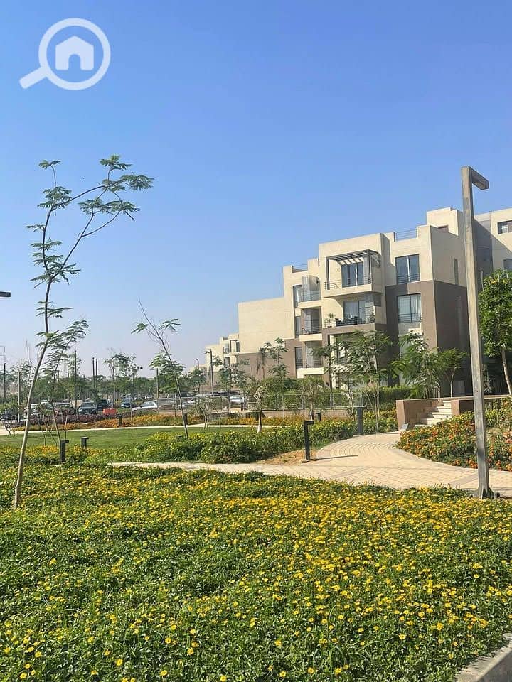 10 556129612_1299802384958579_1095412627195927462_n. jpg