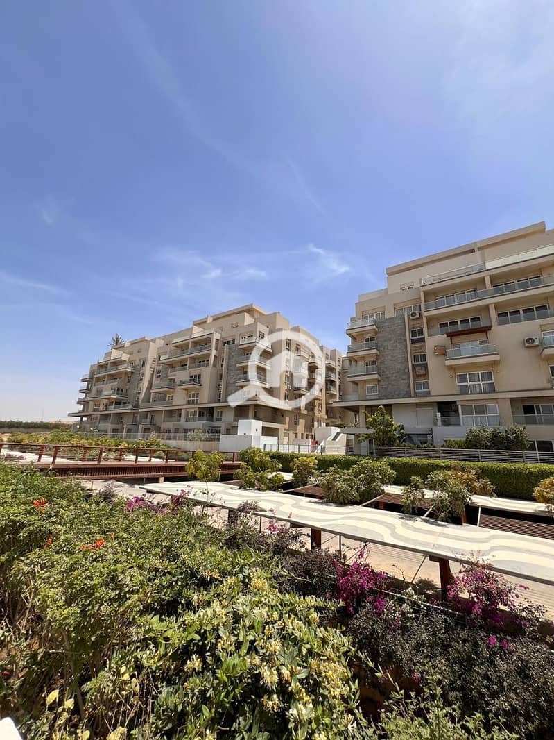 11 e43df53f-5dda-42b1-8f31-57b261fc0805. jpg