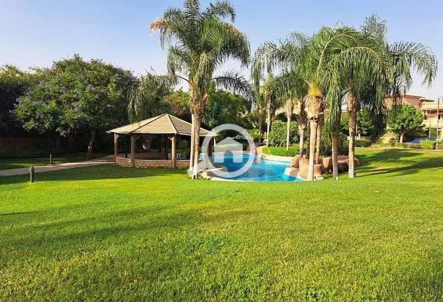 6 432856824_4496903543868922_5309861627240130569_n. jpg