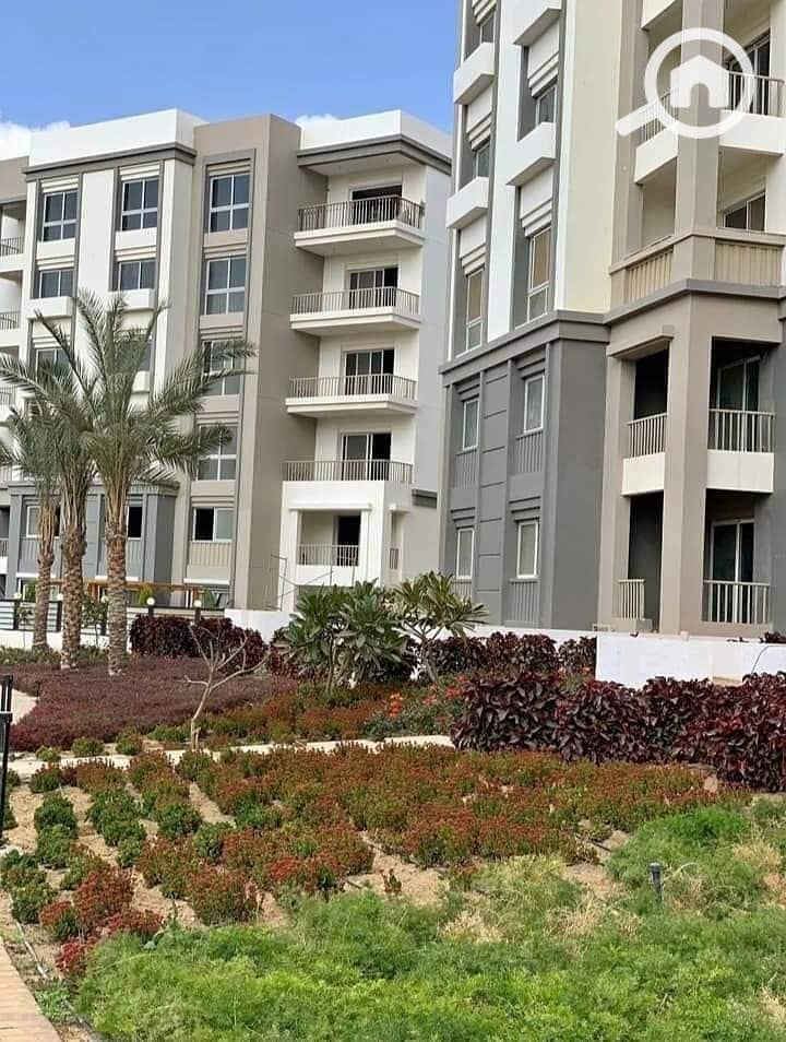 7 لاتيمىؤة. jpg