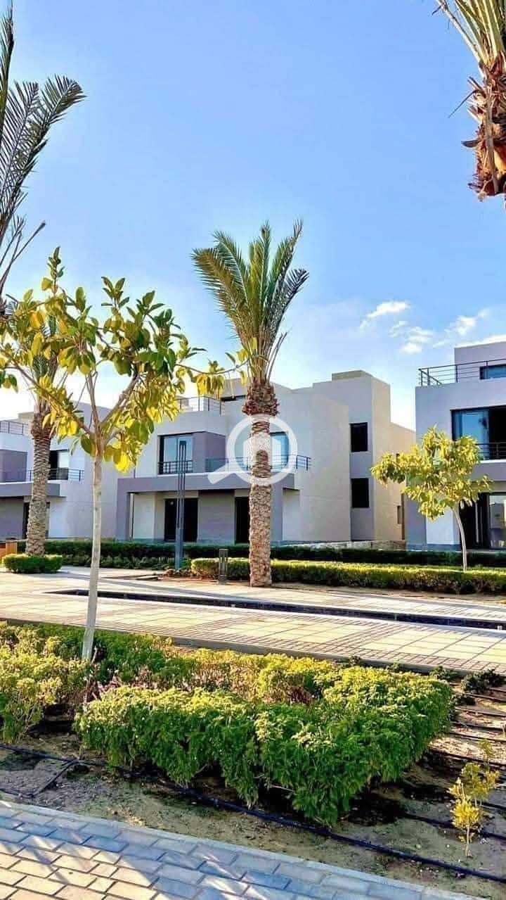 5 photo_2025-01-20_20-57-24. jpg