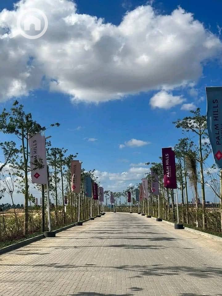 6 photo_2025-01-20_20-57-26. jpg