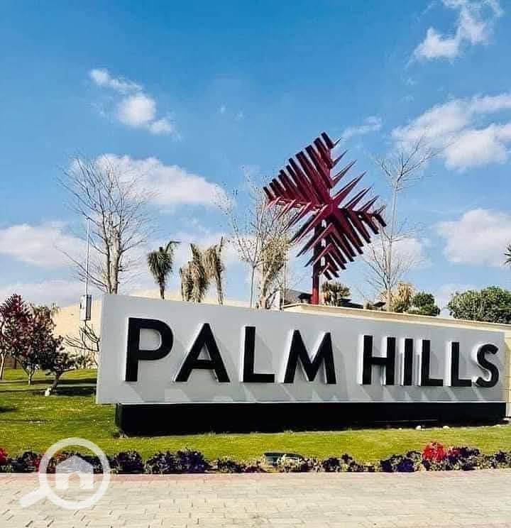 7 photo_2025-01-20_20-57-29. jpg