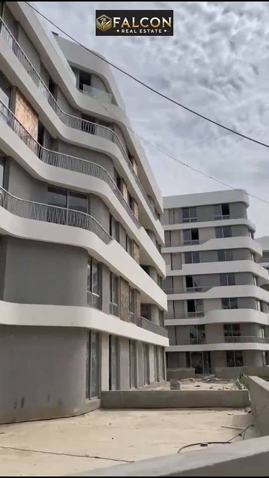 3 385526098_6651906121590594_5153871159428046963_n. jpg