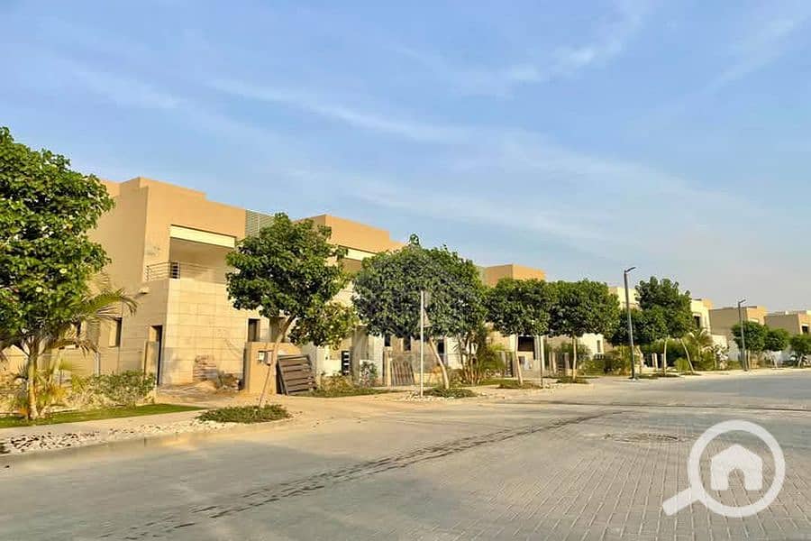 5 Background (14). png